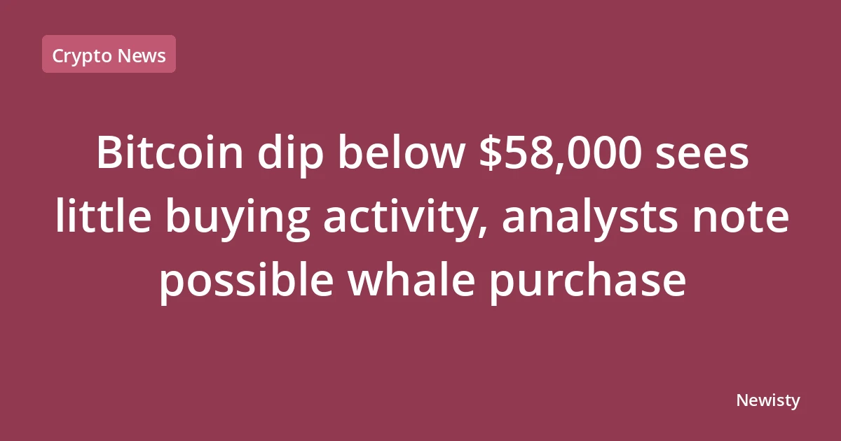 Bitcoin dip below $58,000 sees little buying activity, analysts note possible whale purchase
