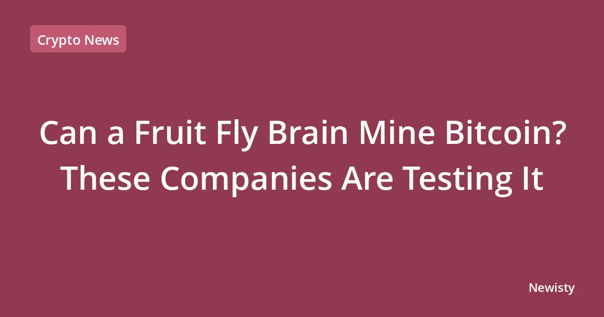 Can a Fruit Fly Brain Mine Bitcoin? These Companies Are Testing It