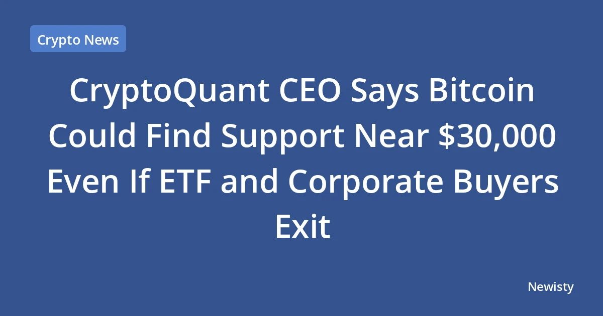 CryptoQuant CEO Says Bitcoin Could Find Support Near $30,000 Even If ETF and Corporate Buyers Exit