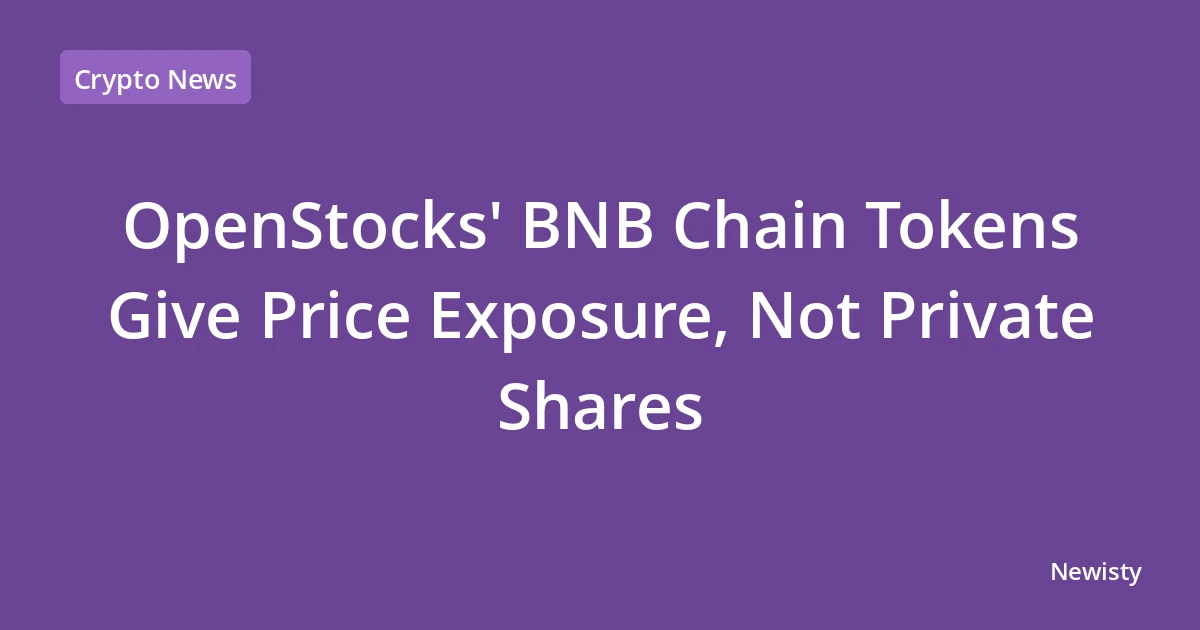 OpenStocks' BNB Chain Tokens Give Price Exposure, Not Private Shares