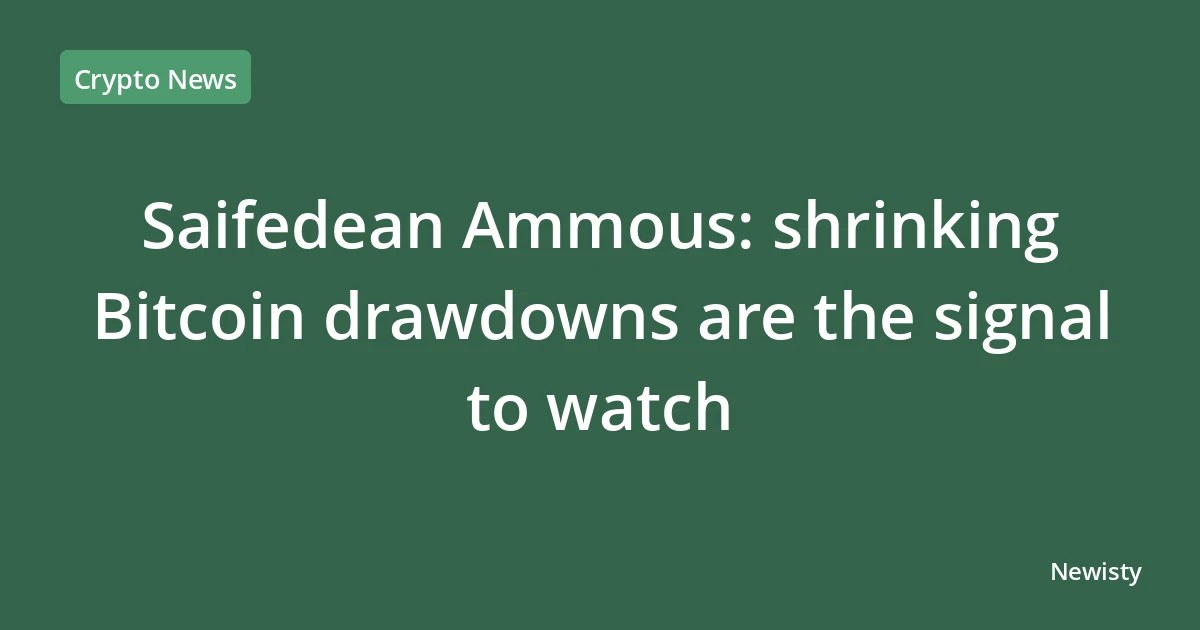 Saifedean Ammous: shrinking Bitcoin drawdowns are the signal to watch